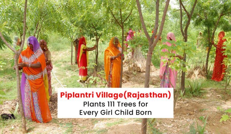 Piplantri Village(Rajasthan) Plants 111 Trees For Every Girl Child Born ...