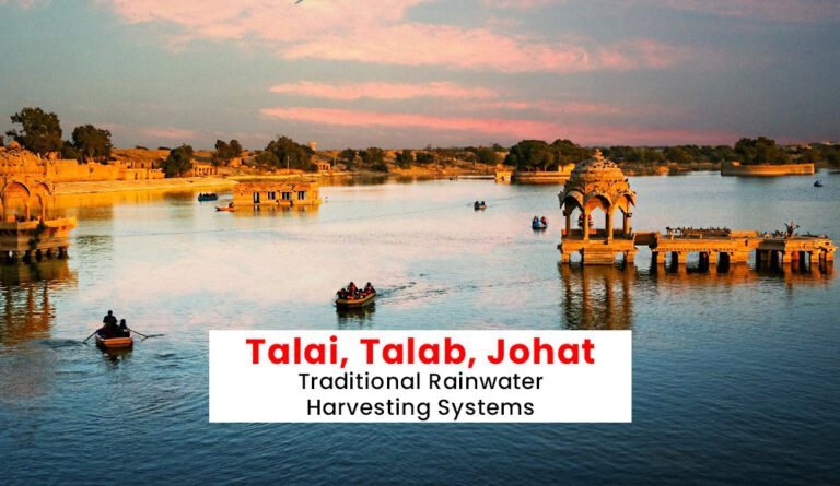 traditional-rainwater-harvesting-systems-in-india-talai-talab-johat