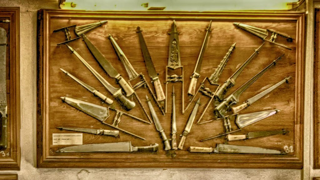 Alwar has it all: Jungles, palaces, ‘Fairy Queen’ & Akbar, Aurangzeb swords too! 4 City Palace Museum