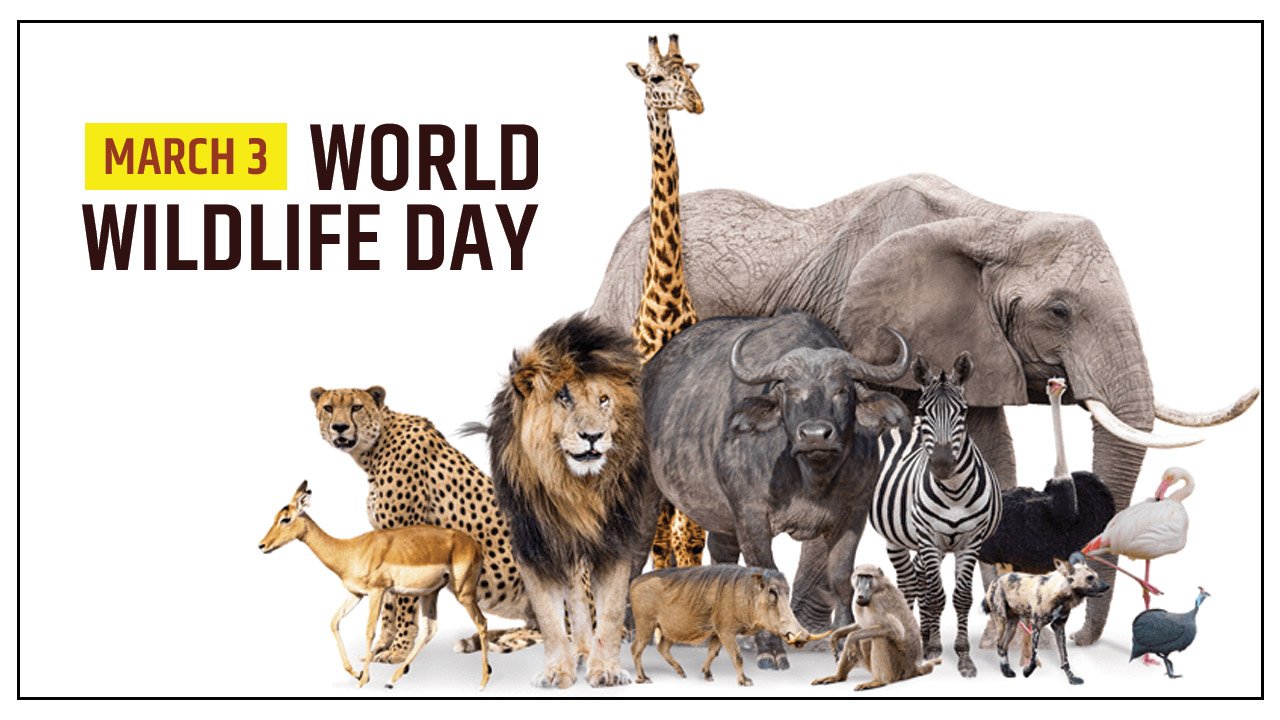 World Wildlife Day 2021: Theme, History, Poster, Quotes | EBNW Story