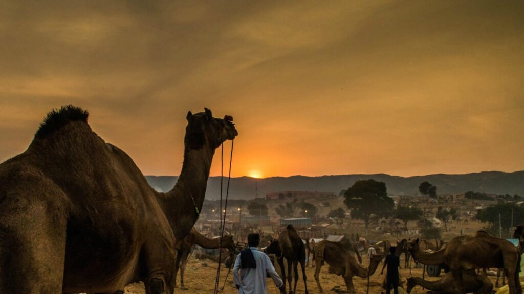 Pushkar(Rajasthan) and its 5 connections to Puranik stories - EBNW Story