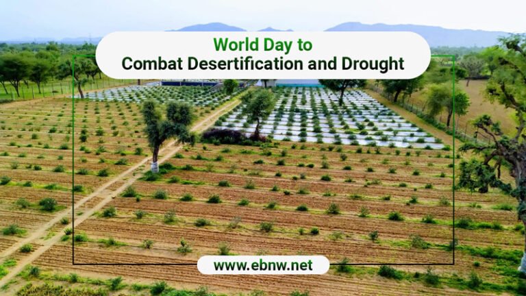 World Day to Combat Desertification and Drought 2021: Importance ...