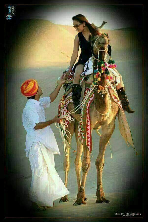 Camels are back in trend during COVID-19 pandemic in Rajasthan. Know how and why...! 1 Camels are back in trend during COVID-19 pandemic in Rajasthan. Know how and why...!