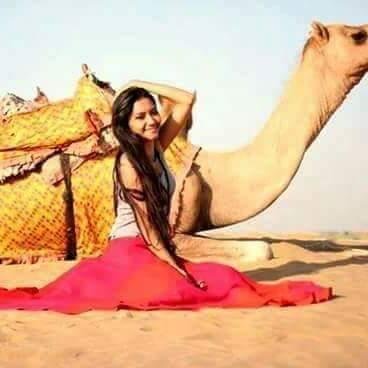 Camels are back in trend during COVID-19 pandemic in Rajasthan. Know how and why...! 2 Camels are back in trend during COVID-19 pandemic in Rajasthan. Know how and why...!