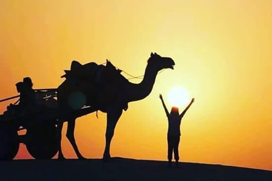 Camels are back in trend during COVID-19 pandemic in Rajasthan. Know how and why...! 3 Camels are back in trend during COVID-19 pandemic in Rajasthan. Know how and why...!