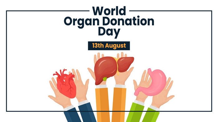 World Organ Donation Day 2021 Theme, History, Significance, Quotes, Poster  Images - EBNW Story