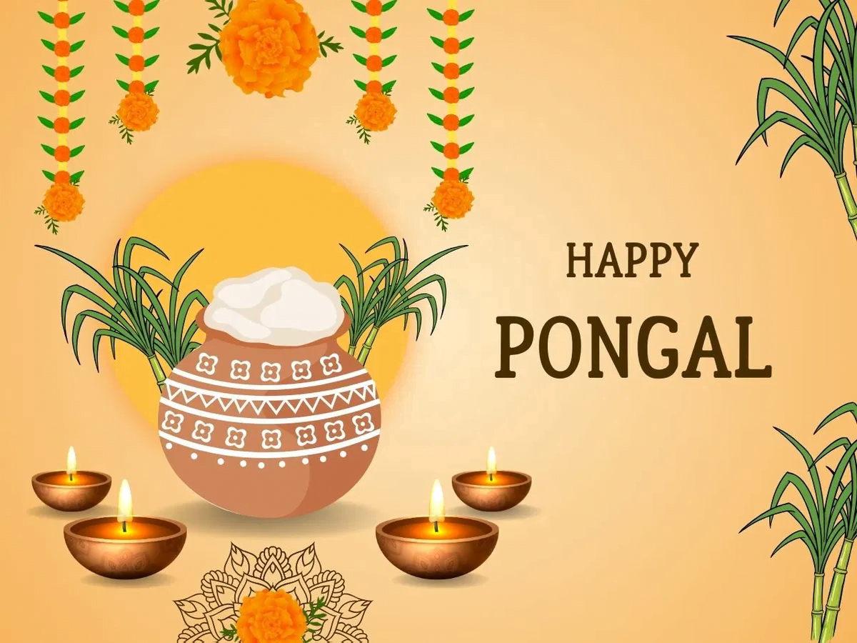Pongal 2024 A Harvest Festival Of Tradition, Unity, And Renewal EBNW