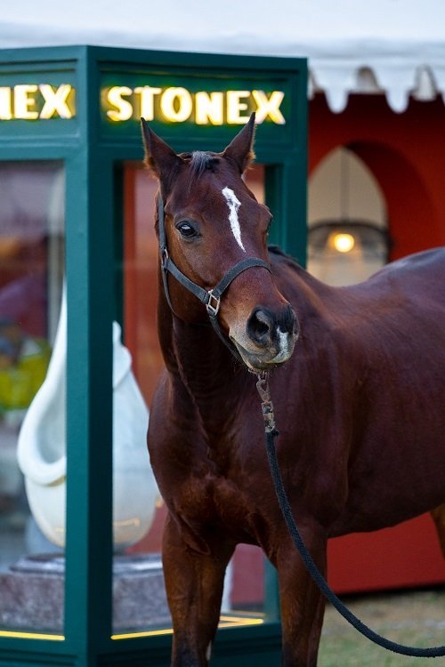 Stonex Partners with Umaid Bhawan Palace Cup for the 25th Jodhpur Polo Season
