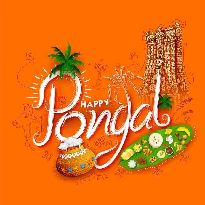 Pongal 2025 A Celebration Of Prosperity, Culture, And Togetherness