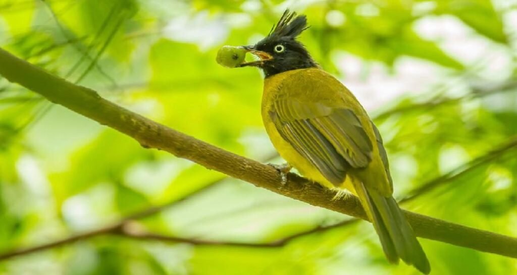 10 Best Things to Do in the Andamans