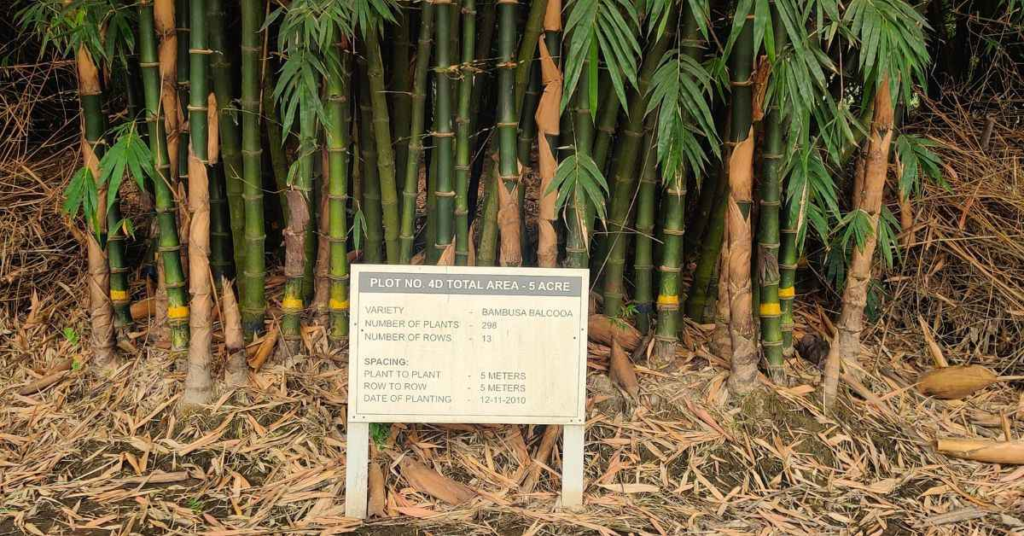 Biogas, Manure, Tiles: This Industry Has Cracked the ‘Zero-Waste’ Code 3 Biogas, Manure, Tiles: This Industry Has Cracked the ‘Zero-Waste’ Code