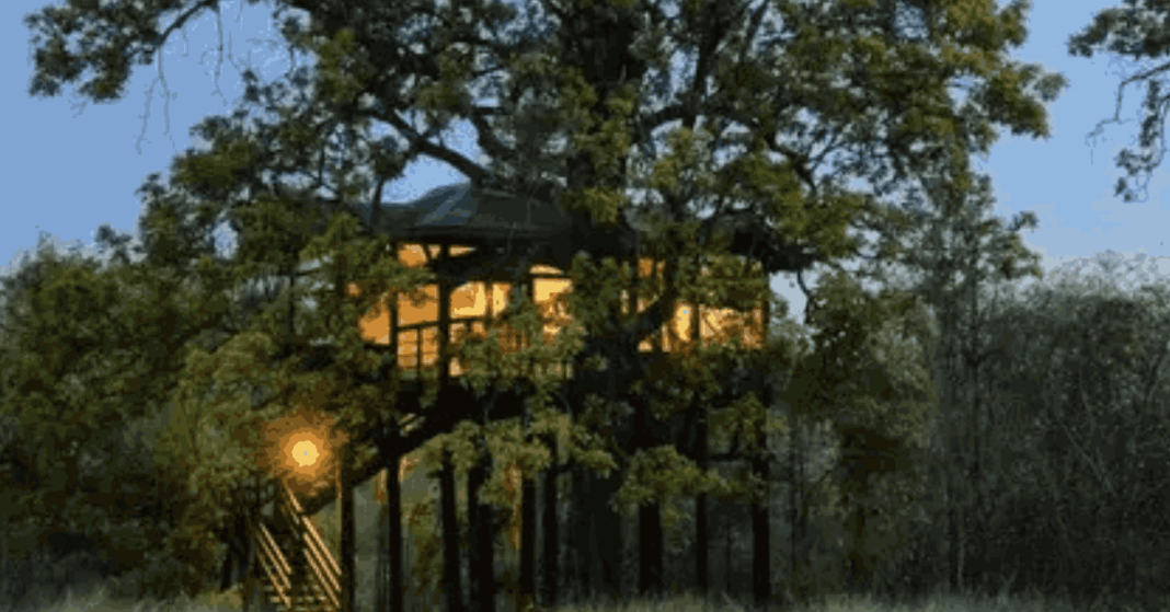 Stay Among The Treetops: 10 Breathtaking Treehouse Retreats In India ...
