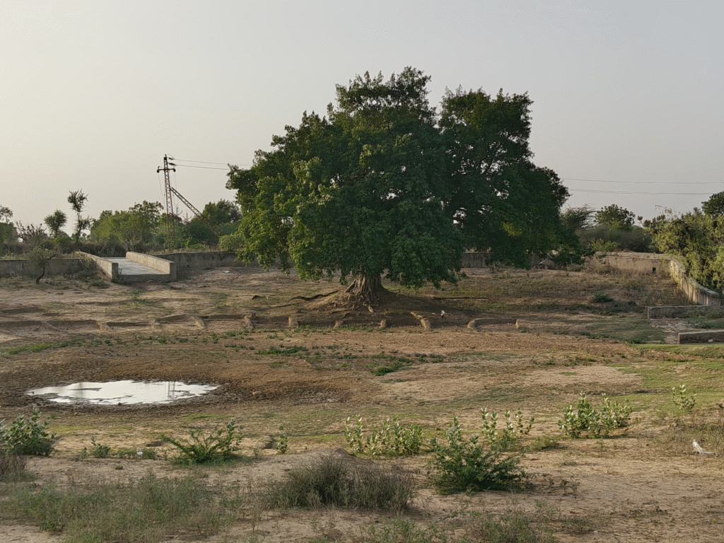 This village in Makrana Still Echoes With Tales of Erstwhile King Who Led From The Front Preaching Justice...