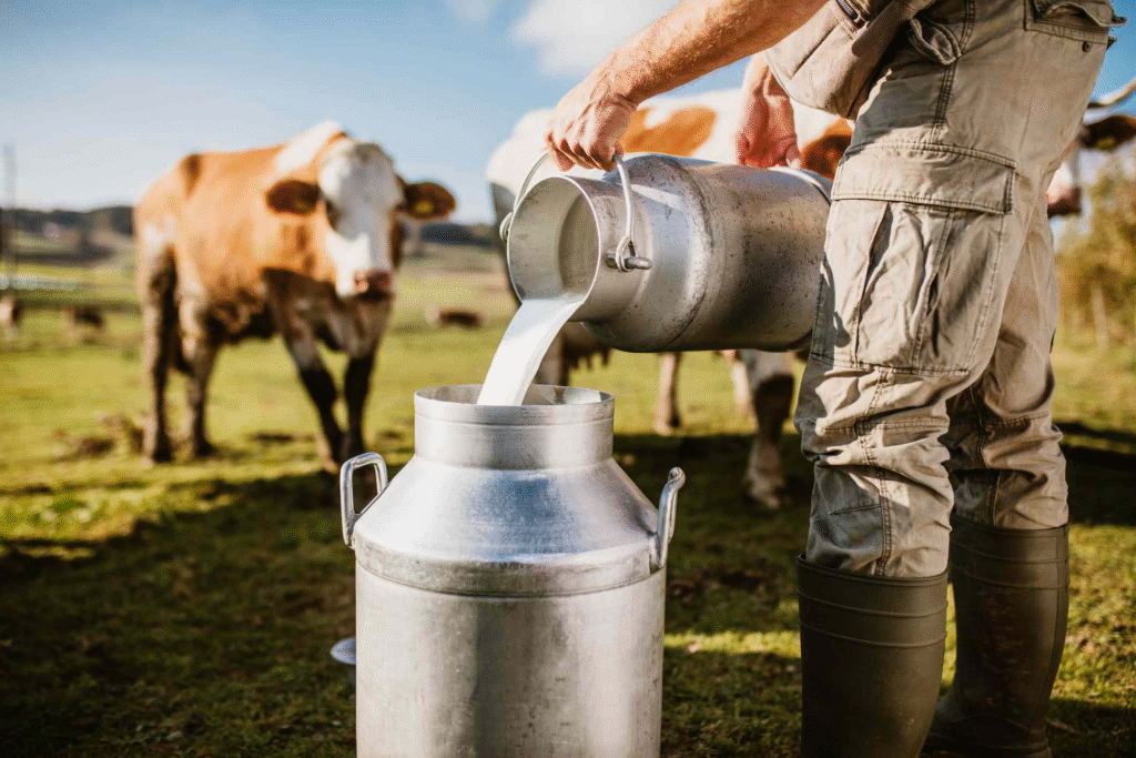 The Non-Veg Milk : The Sip That Sparked A Trade War, The Dairy Clause That Could Break A $500 Billion Deal...
