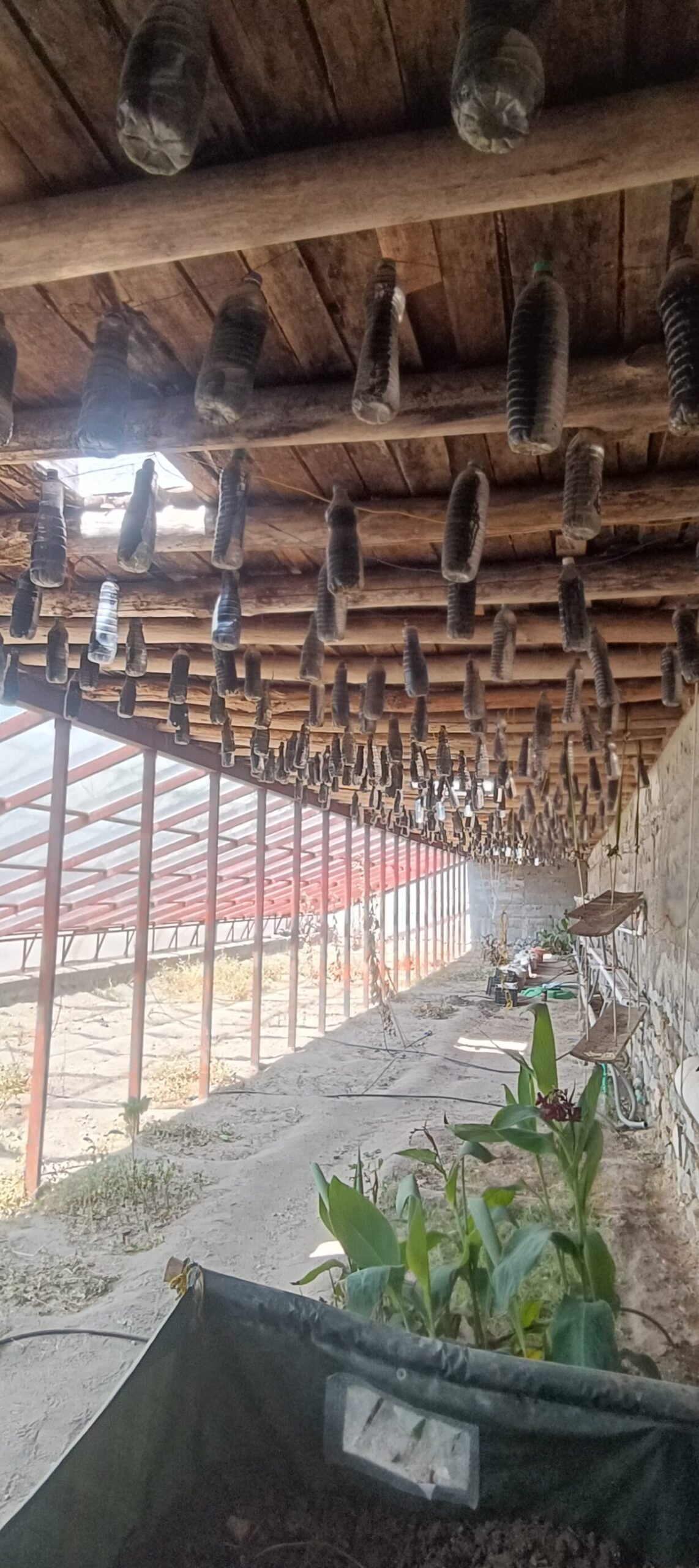 No Wi-Fi, No Problem: This Incredible SECMOL School in Ladakh Teaches Through Living. Watch in Video