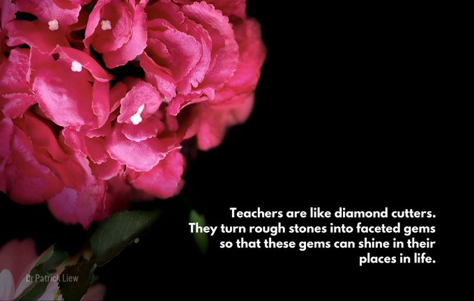 Happy Teachers' Day: Wish Those Who Enlightened You Via These Wishes and Posters...