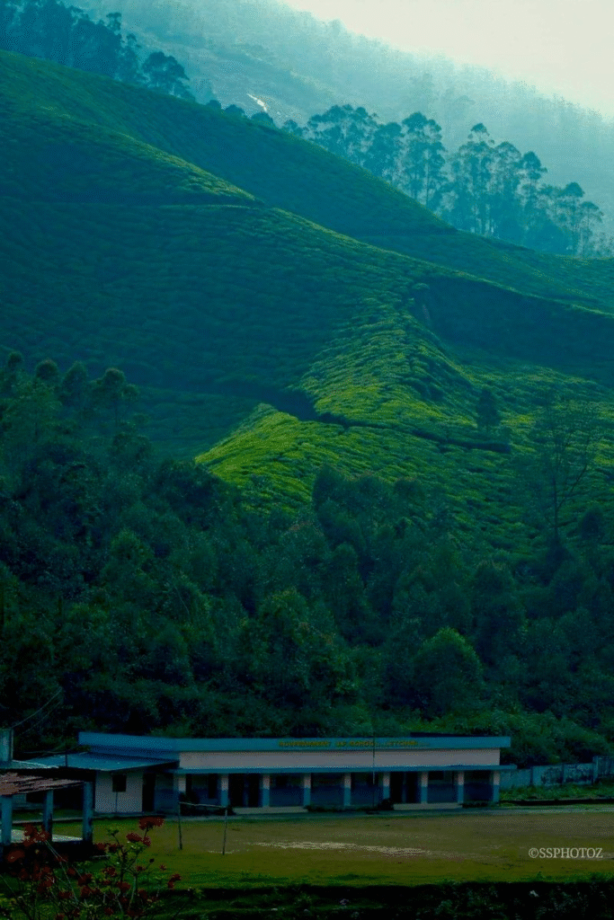 Netflix Partners with Ministry of Tourism to Promote Travel Through Storytelling