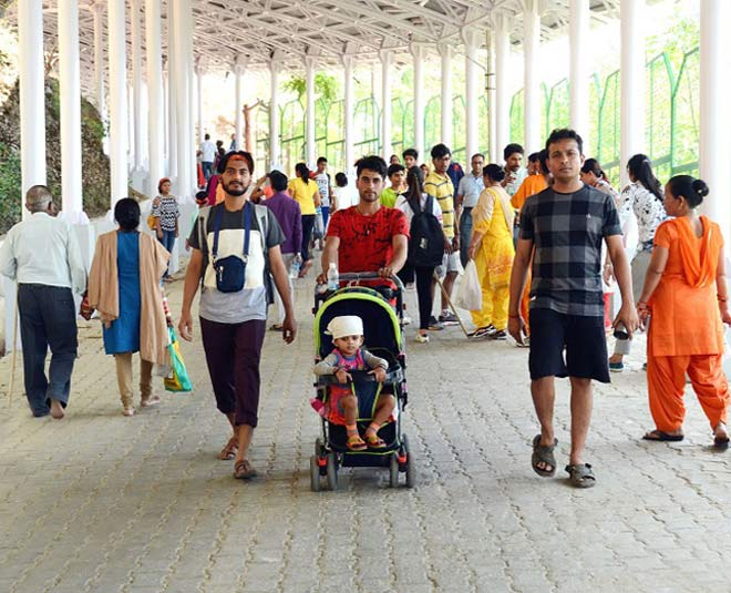 Vaishno Devi Yatra: A Journey Through a New India