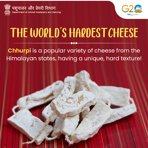 Hidden Gems of Indian Cheese: 6 Unique Varieties With Recipes and Health Benefits 2 Hidden Gems of Indian Cheese: 6 Unique Varieties With Recipes and Health Benefits