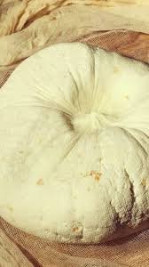 Hidden Gems of Indian Cheese: 6 Unique Varieties With Recipes and Health Benefits 6 Hidden Gems of Indian Cheese: 6 Unique Varieties With Recipes and Health Benefits