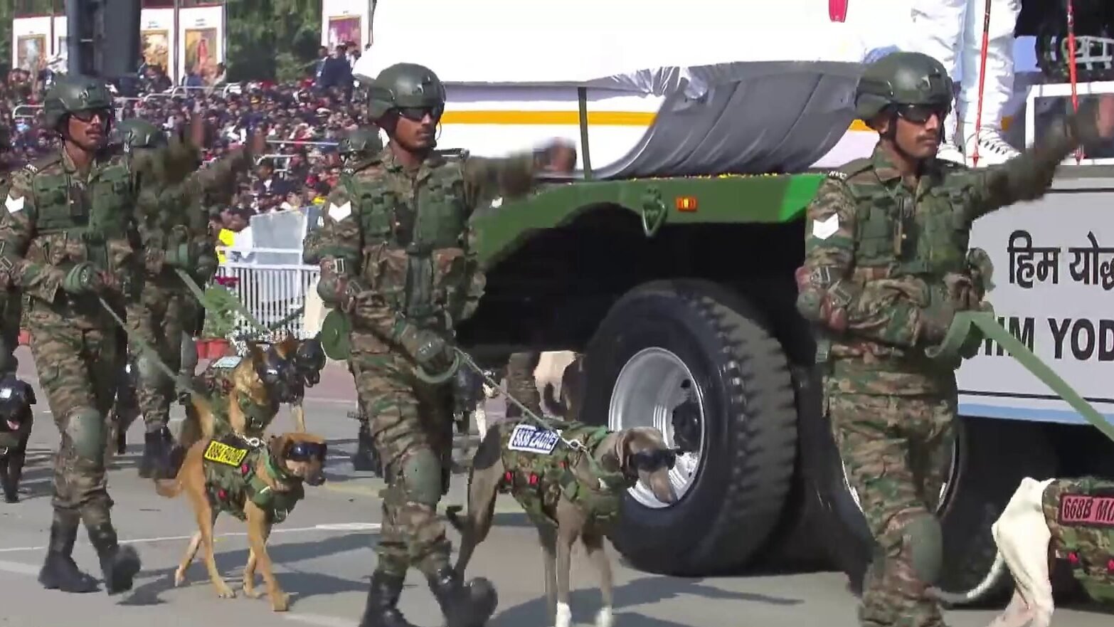 Silent Warriors Steal the Spotlight: Bactrian Camels, Black Kites and Indigenous Dogs Shine at Republic Day Parade