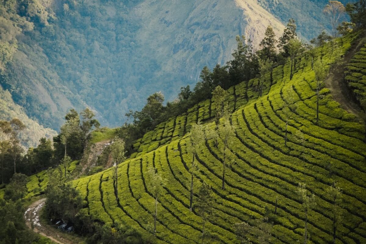 What Is Micro Retirement And Why More People Are Choosing Slow, Meaningful Breaks Over Burnout