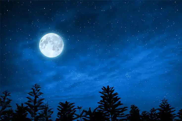 Phalguna Amavasya 2026: A Sacred Day for Ancestral Worship and Spiritual Renewal