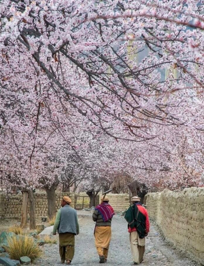 Screenshot_20260326_120507_Instagram