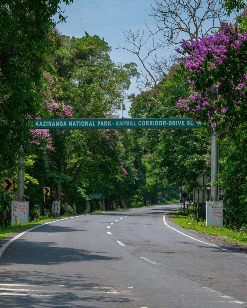 March Safaris: Best National Parks and Wildlife Sanctuaries to Visit in India