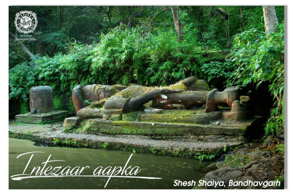 March Safaris: Best National Parks and Wildlife Sanctuaries to Visit in India