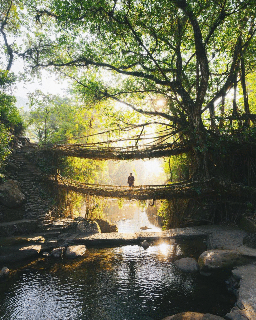 Asia’s Cleanest Village Says ‘No’ to Sunday Tourism: Why Mawlynnong Is Taking a Break