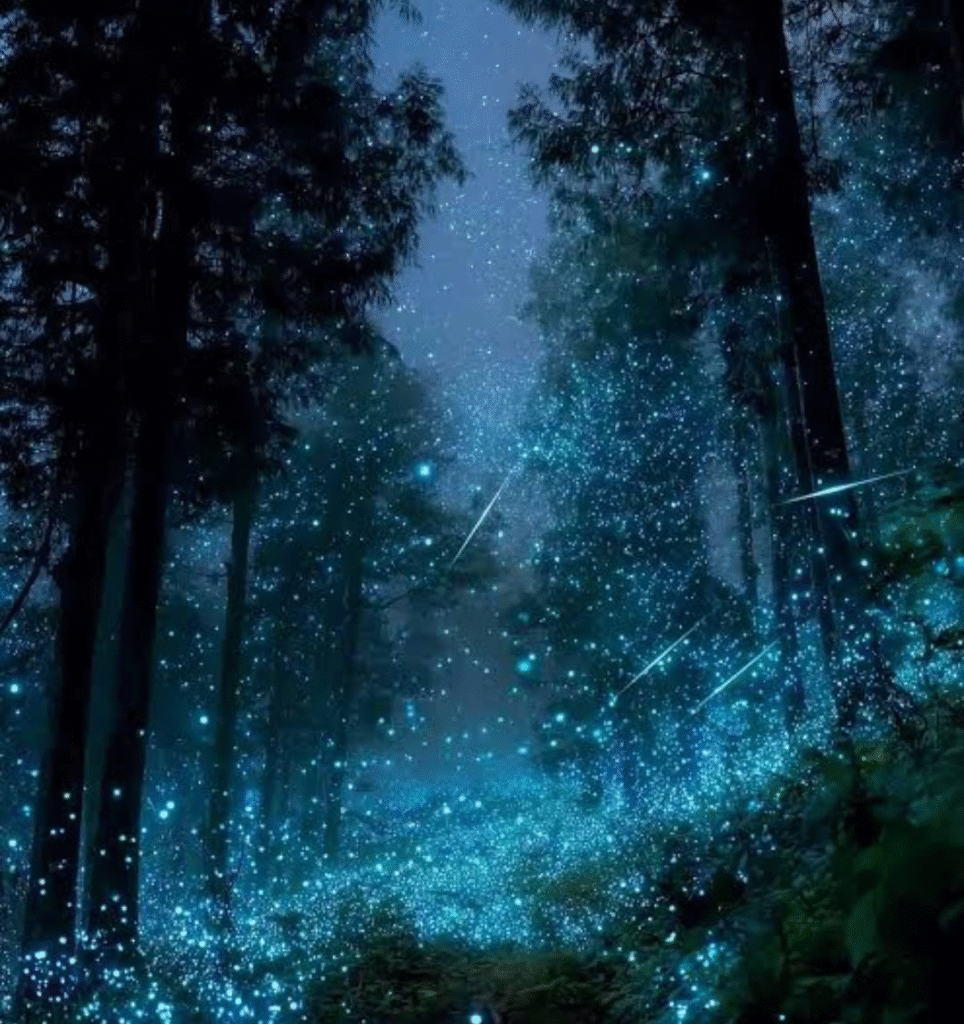 New Zealand's Secret Night Sky: When Forests Glow Like a Living Galaxy After Dark