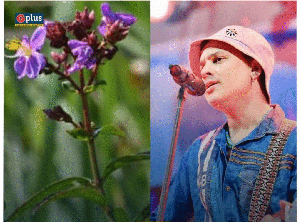New Flowering Plant Species Discovered in Assam's Manas National Park Named After Singer Zubeen Garg 1 New Flowering Plant Species Discovered in Assam's Manas National Park Named After Singer Zubeen Garg