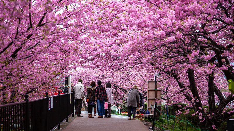 Top 10 Countries to Visit in April 2026