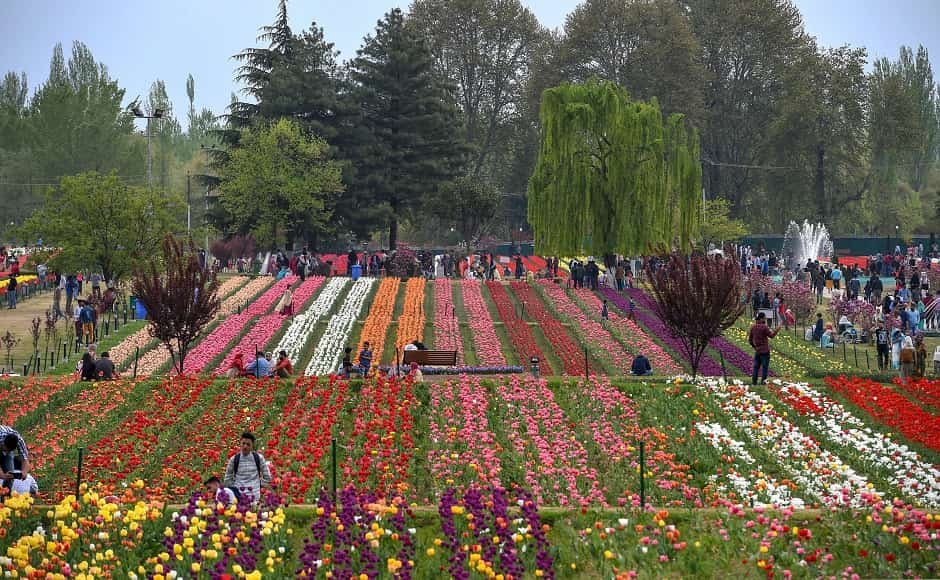 Kashmir Tulip Festival 2026 Begins Today: A Spectacular Celebration of Spring in Srinagar 1 Kashmir Tulip Festival 2026 Begins Today: A Spectacular Celebration of Spring in Srinagar