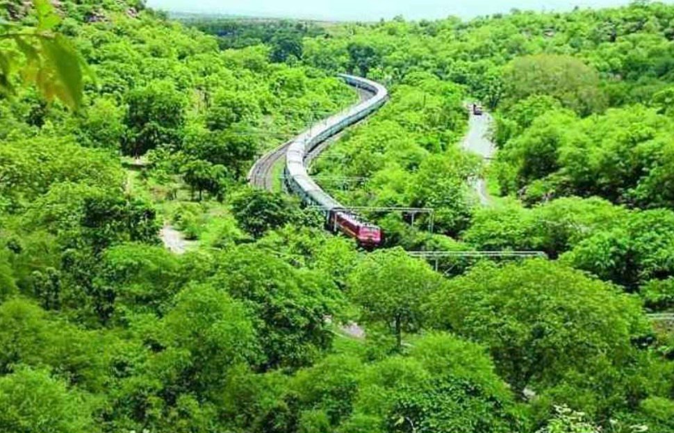 Tourism in Hadoti: Rajasthan’s Emerging Frontier of Heritage, Wilderness, and Living Culture