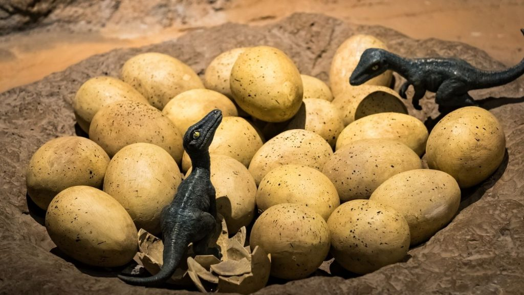Hundreds of Perfectly Preserved Dinosaur Eggs Uncovered in France - A 72-Million-Year-Old Nesting Ground Revealed!
