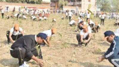 Varanasi Sets New Guinness World Record with Massive Tree Plantation Drive