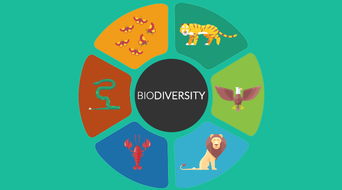 Biological-Diversity-Biodiversity-678x378