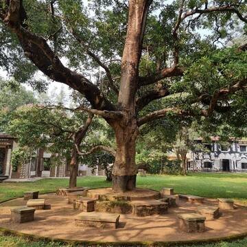 Santiniketan: Rabindranath Tagore’s Timeless “Abode of Peace”
