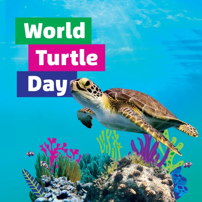 world-turtle-day-square-large
