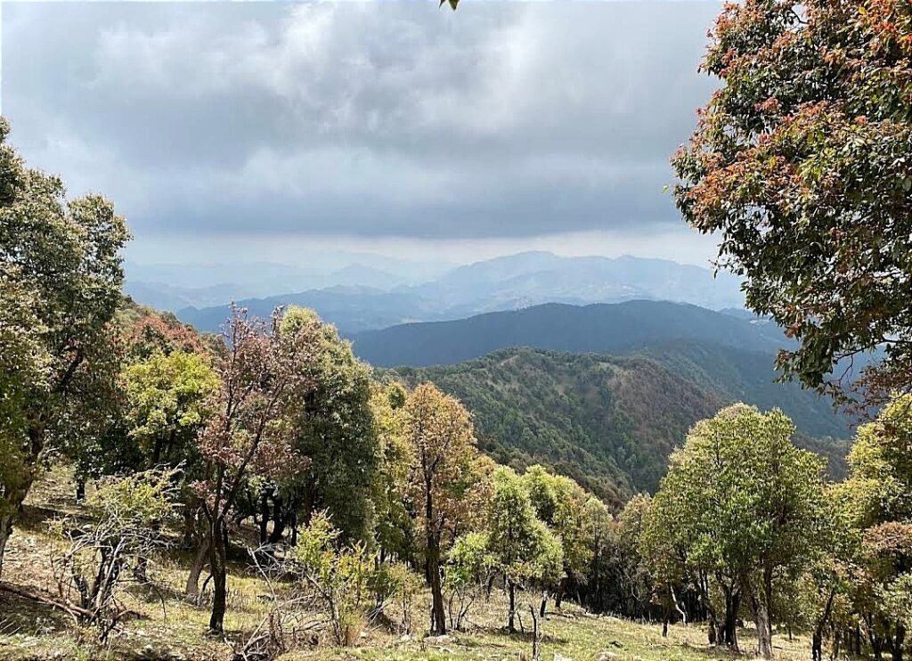 When the Snow Reached Our Knees: Tracing Climate Change in the Garhwal Himalayas 2 When the Snow Reached Our Knees: Tracing Climate Change in the Garhwal Himalayas