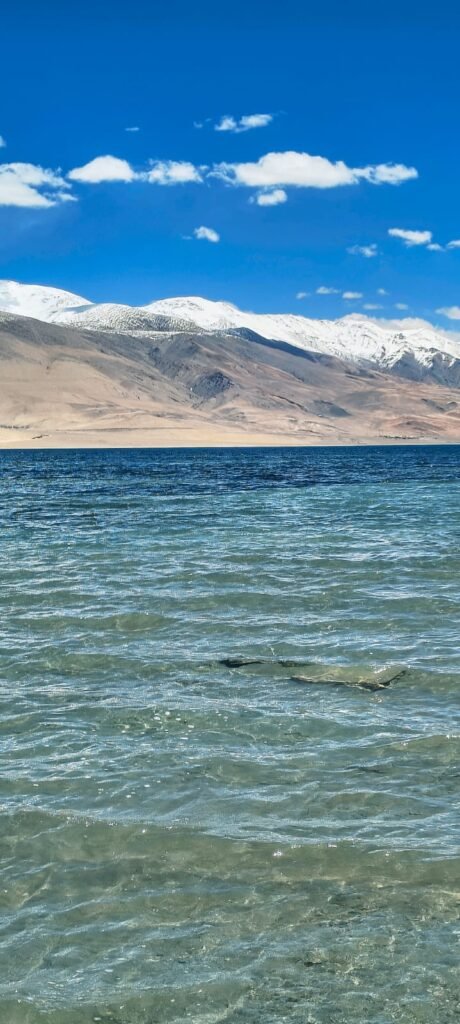 Ladakh: A Journey into Nature's Finest Masterpiece