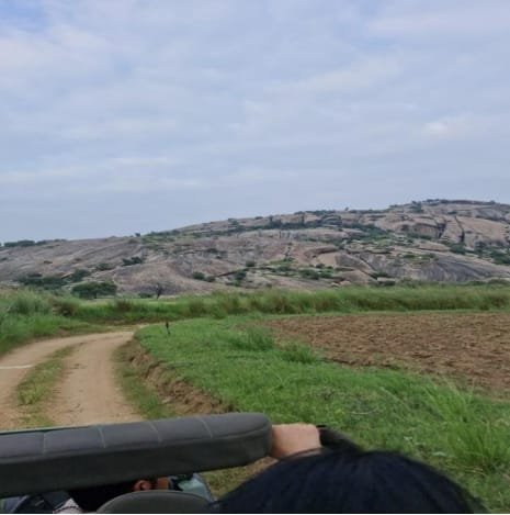 Falna and Jawai: Rajasthan’s Blend of Faith and Wilderness